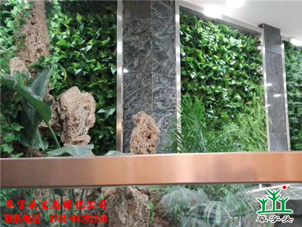 长沙皇冠假日酒店室内垂直绿化植物墙