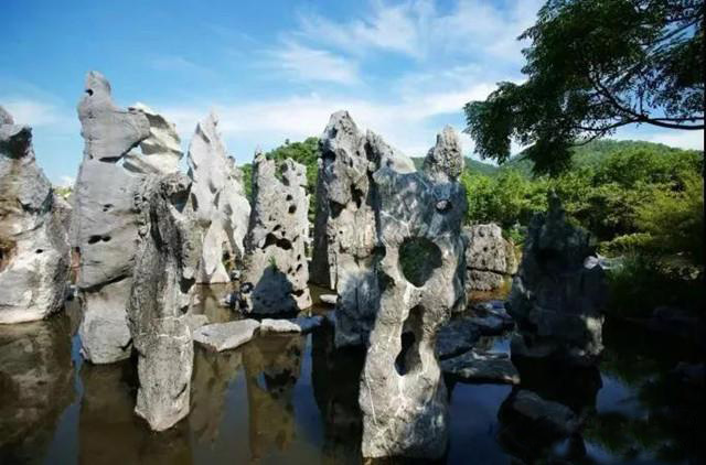 湖南草字头生态环境建设有限公司,人造草坪假草皮,湖南雨水收集处理工艺