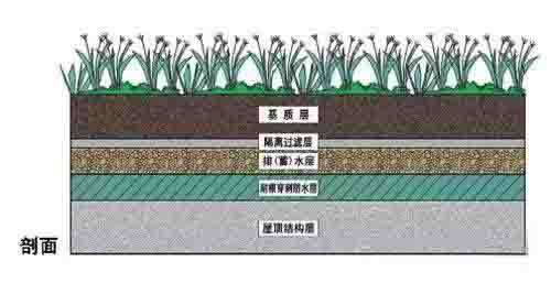 湖南草字头生态环境建设有限公司,人造草坪假草皮,湖南雨水收集处理工艺