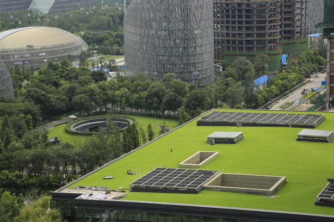 湖南草字头生态环境建设有限公司,人造草坪假草皮,湖南雨水收集处理工艺