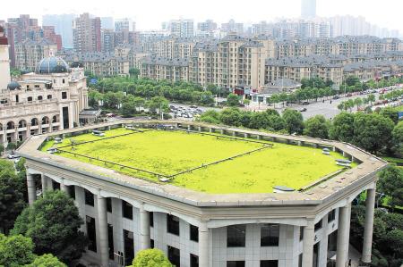 湖南草字头生态环境建设有限公司,人造草坪假草皮,湖南雨水收集处理工艺