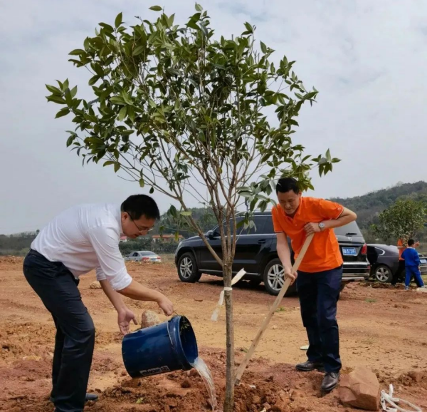 湖南草字头生态环境建设有限公司,人造草坪假草皮,湖南雨水收集处理工艺