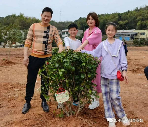 湖南草字头生态环境建设有限公司,人造草坪假草皮,湖南雨水收集处理工艺