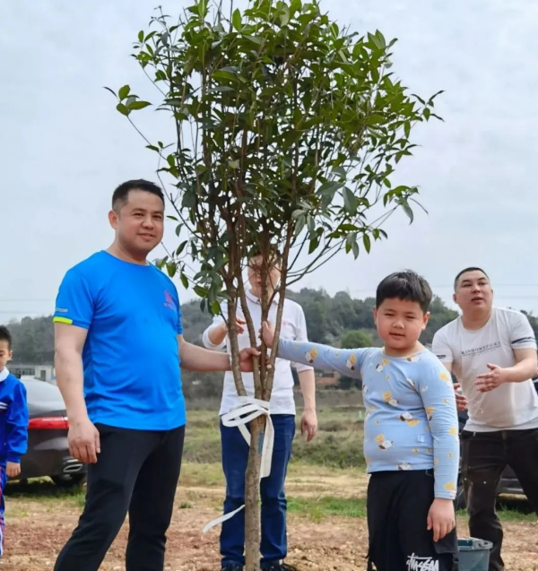 湖南草字头生态环境建设有限公司,人造草坪假草皮,湖南雨水收集处理工艺